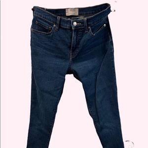 Everlane Stretch Skinny Jeans